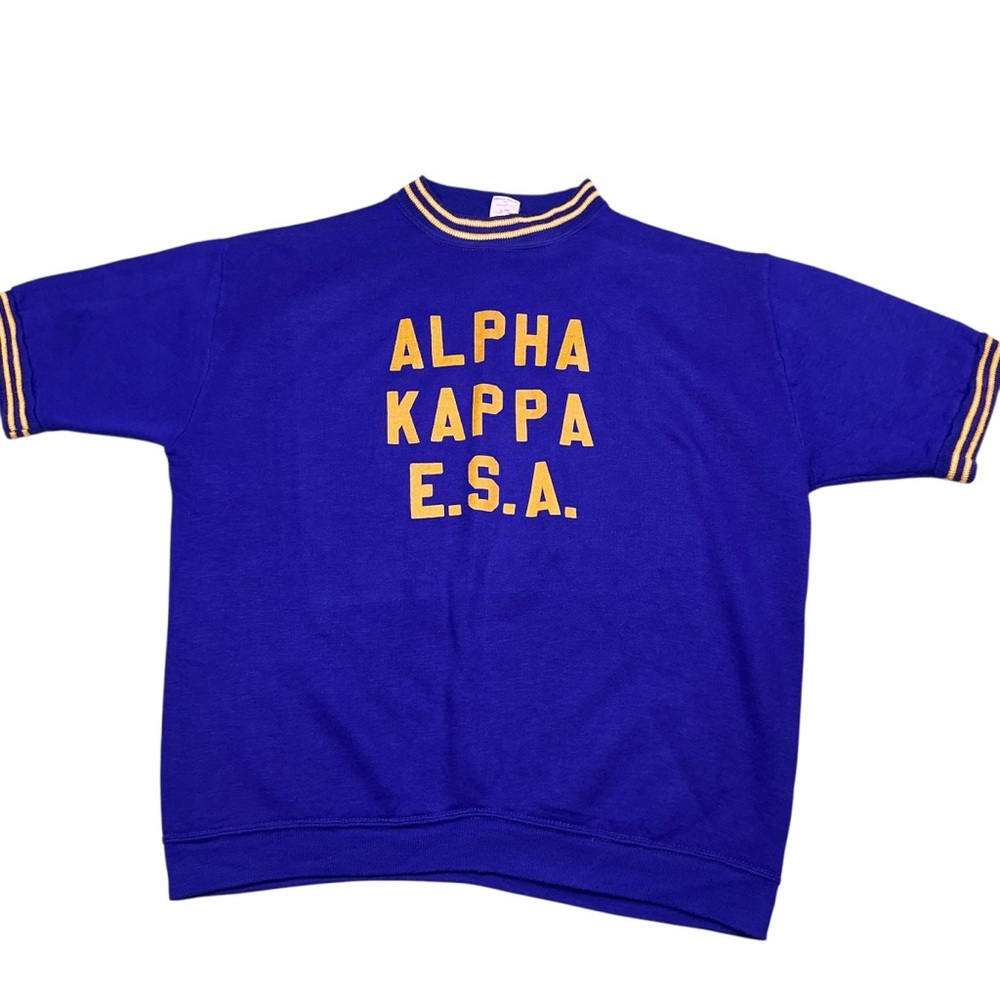 Vintage Champion Washington Huskies Alpha Kappa E.S.A 70s/80s sweater